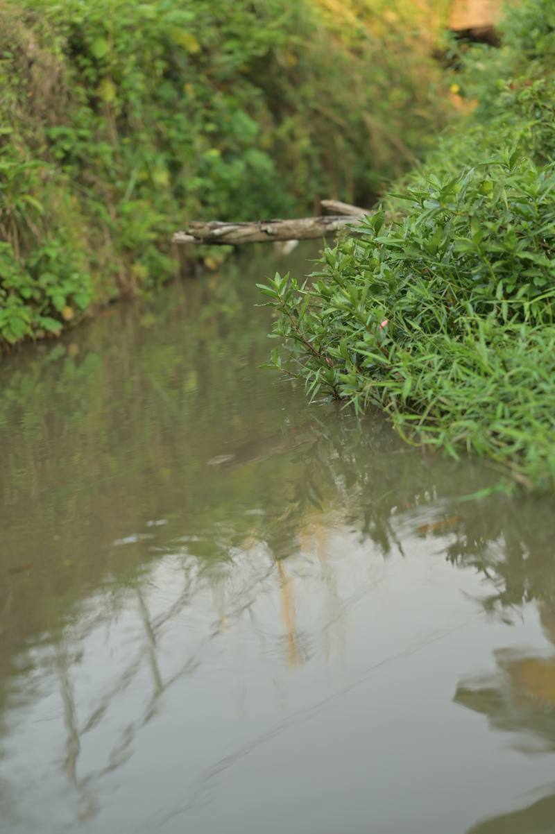 Eider-Treene-Sorge